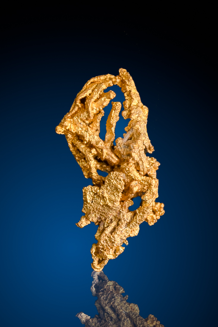 Gold Nuggets 自然金 1g ご予約 コレクション - コレクション